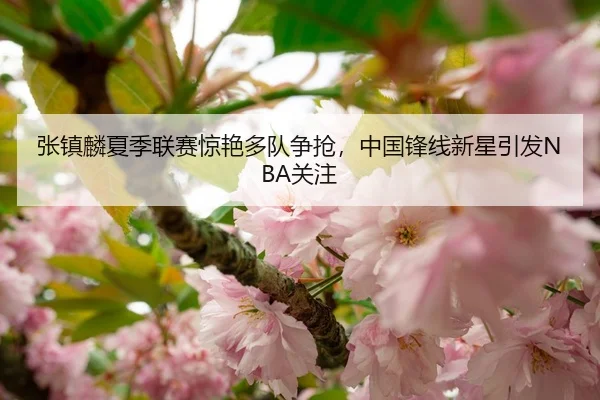张镇麟夏季联赛惊艳多队争抢，中国锋线新星引发NBA关注