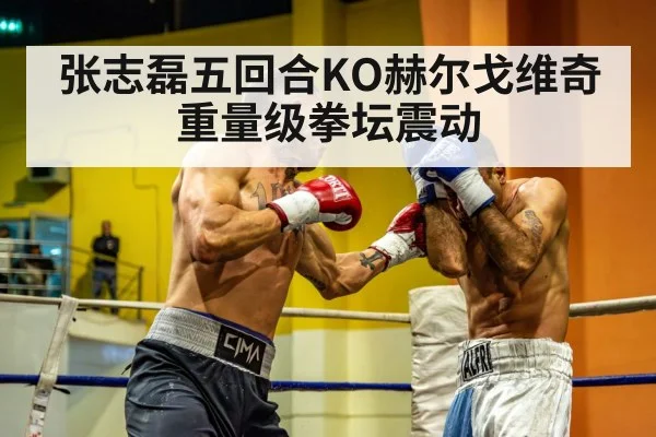 张志磊五回合KO赫尔戈维奇重量级拳坛震动