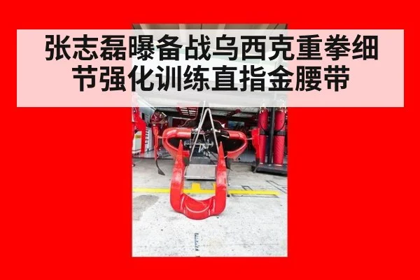 张志磊曝备战乌西克重拳细节强化训练直指金腰带